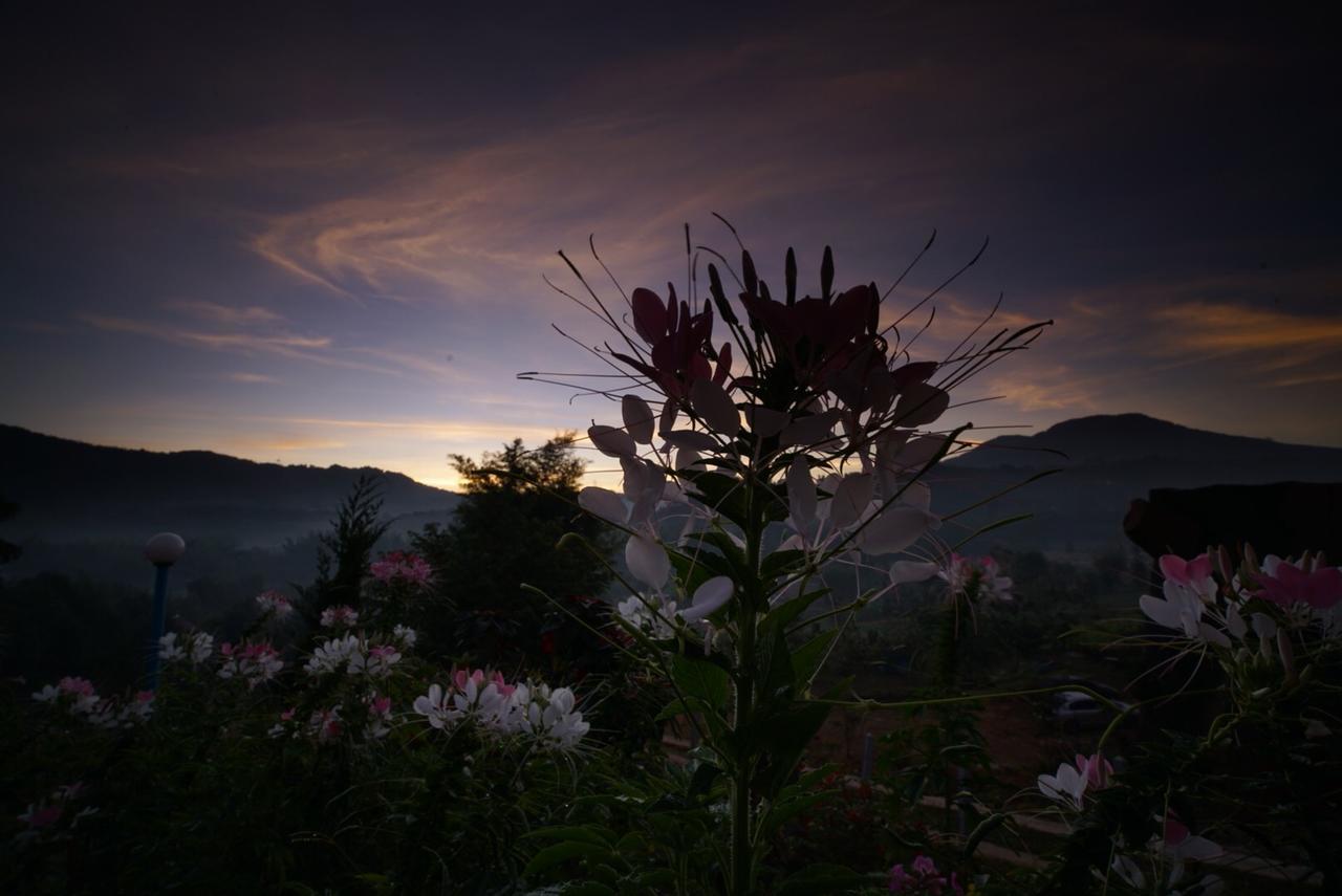 Khaokho Punsukphumok Hotel Khao Kho Eksteriør billede